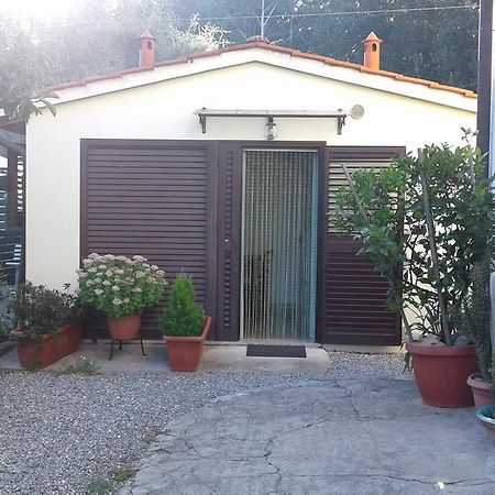 Da Lilly Apartment Lucca Exterior photo